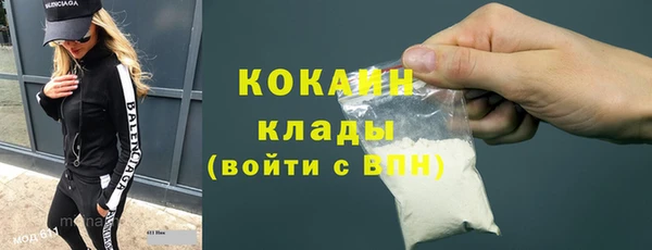 индика Балабаново