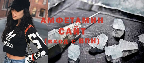 индика Балабаново
