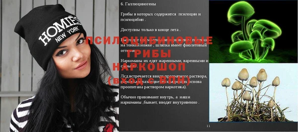 амфетамин Белокуриха