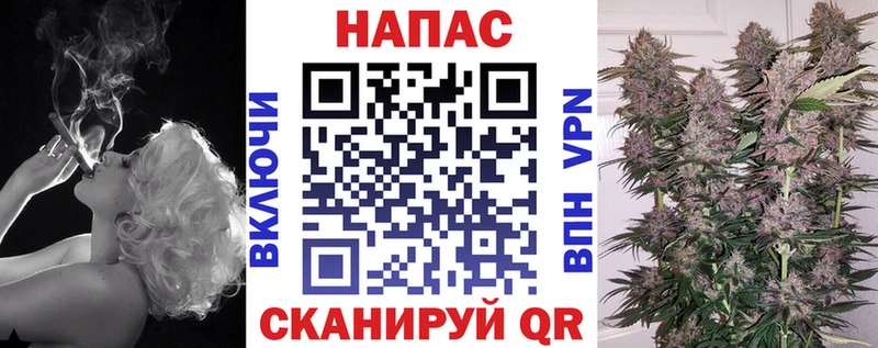 Канабис конопля Новоаннинский